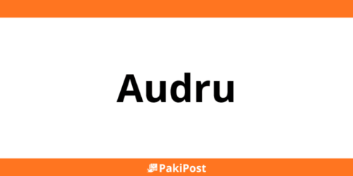 Omniva postkontorid Audru